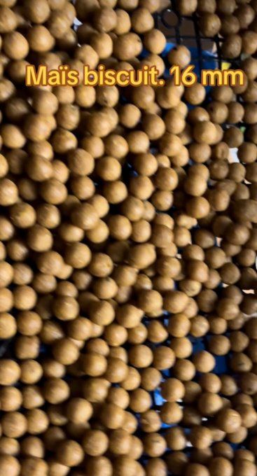 Bouillettes 16 mm maïs biscuit 1kg